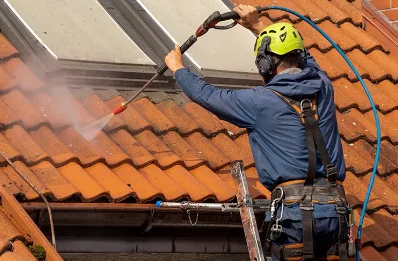 Démoussage et hydrofuge de toiture à Wasigny